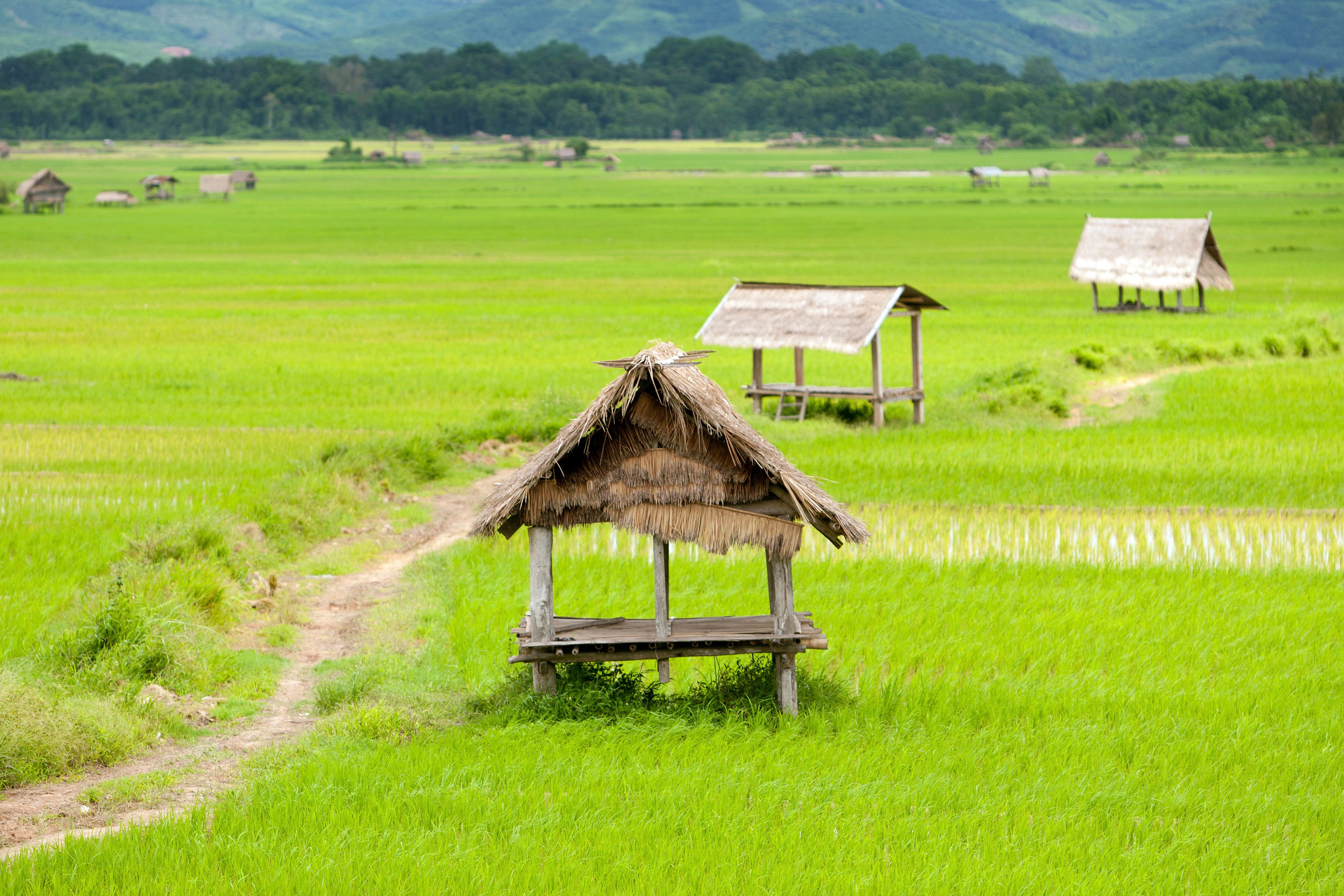 Randonnées et villages du Laos