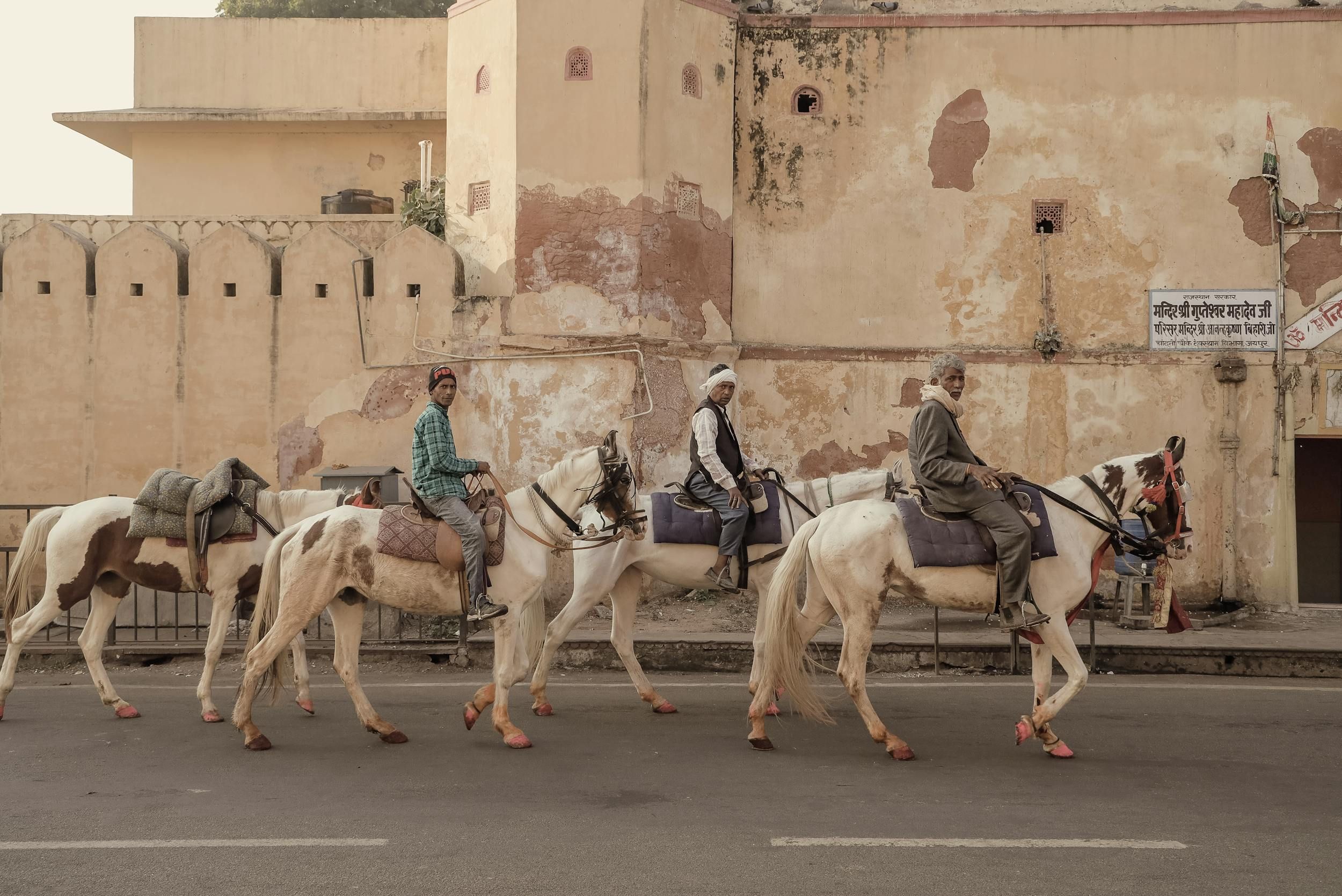 Voyage à cheval - Inde : Rajasthan, le Shekhawati à cheval