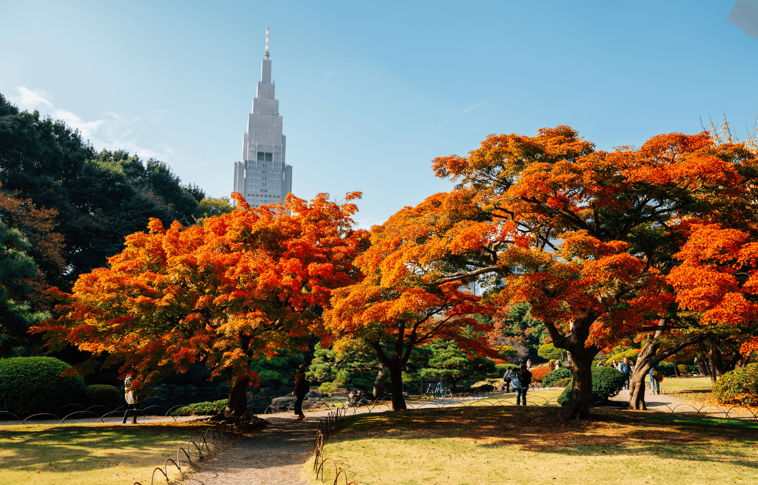 Voyage en Asie — jardin national Shinjuku Gyoen Tokyo paysages saisonniers et nature en ville