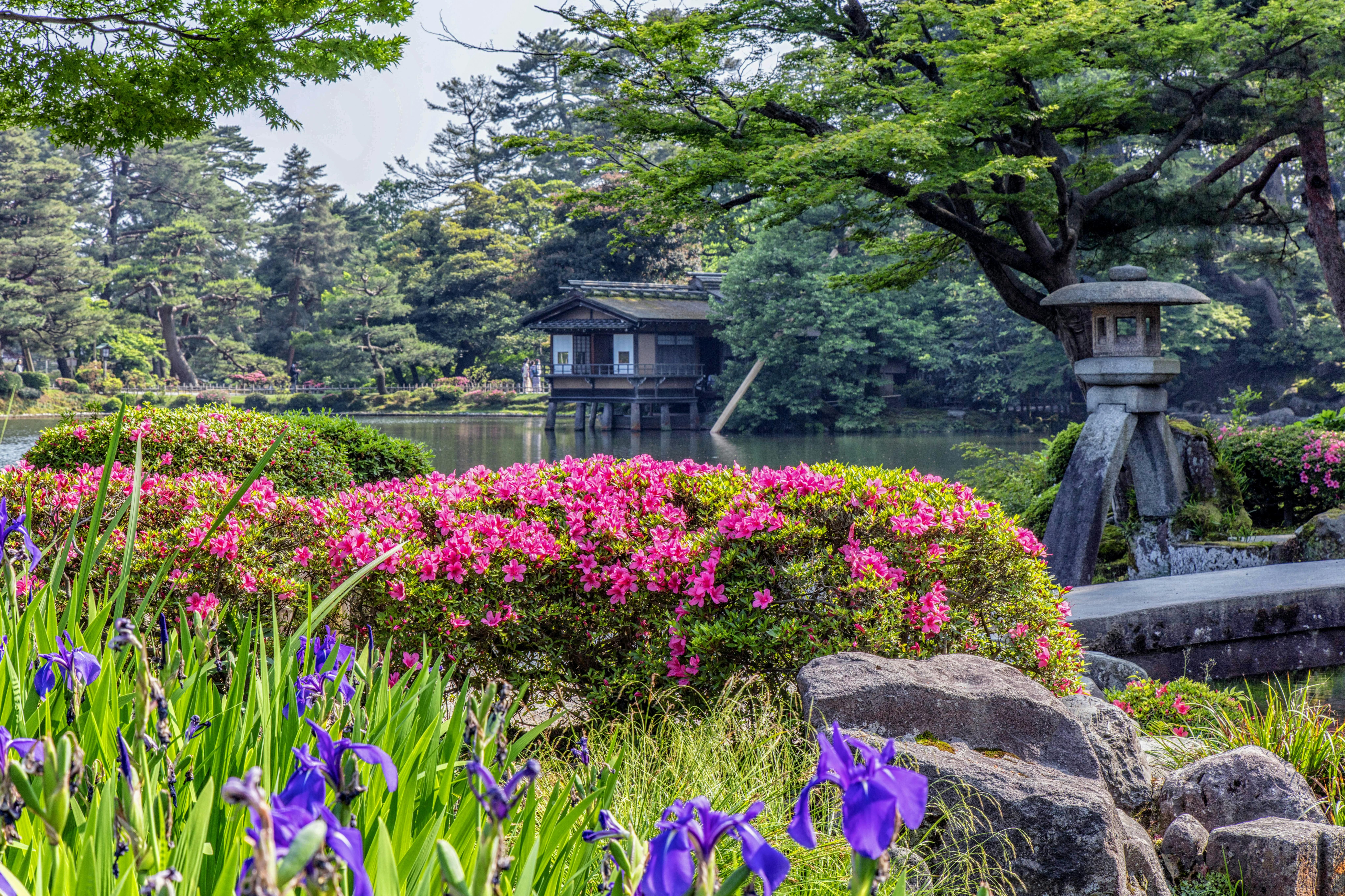 Vue sur dans le Jardin Kenroku-en en été avec les lys.