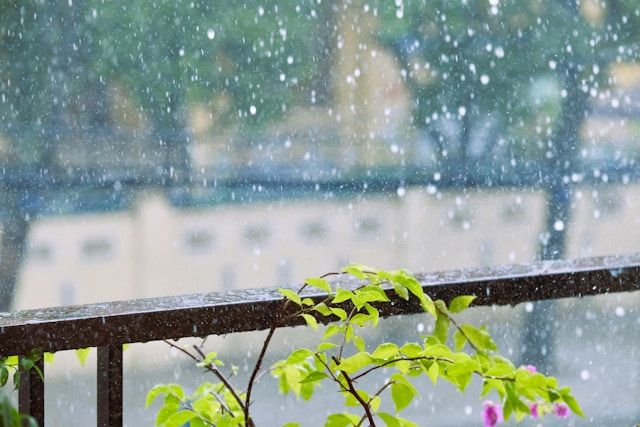 Pluie Vietnam.jpg