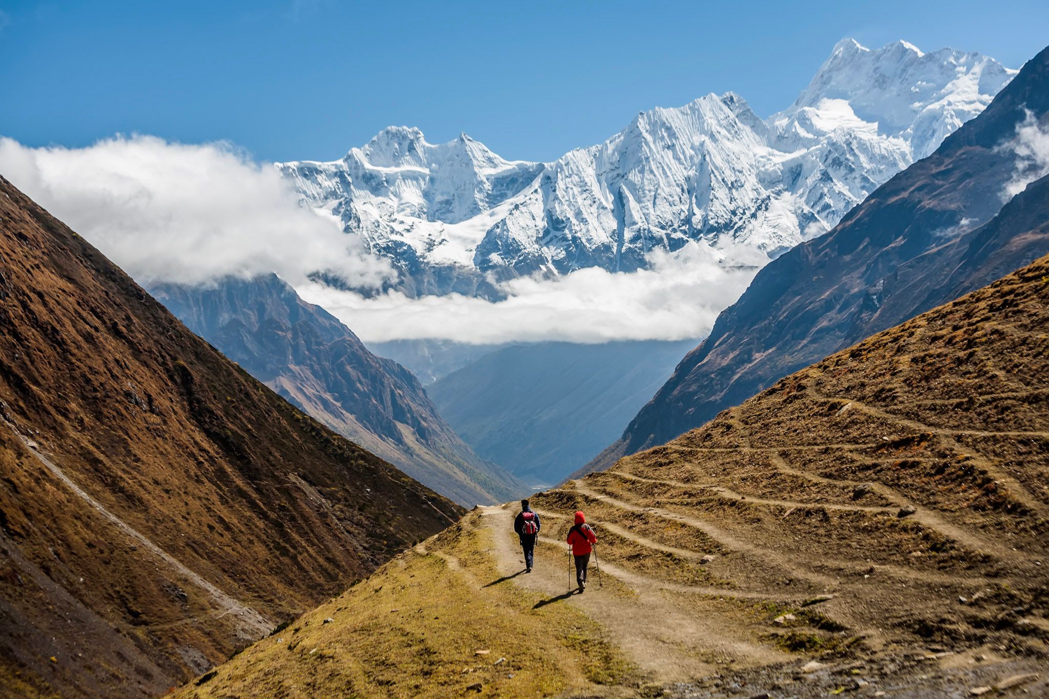 Sikkim, Bhoutan, Népal, royaumes Himalayens
