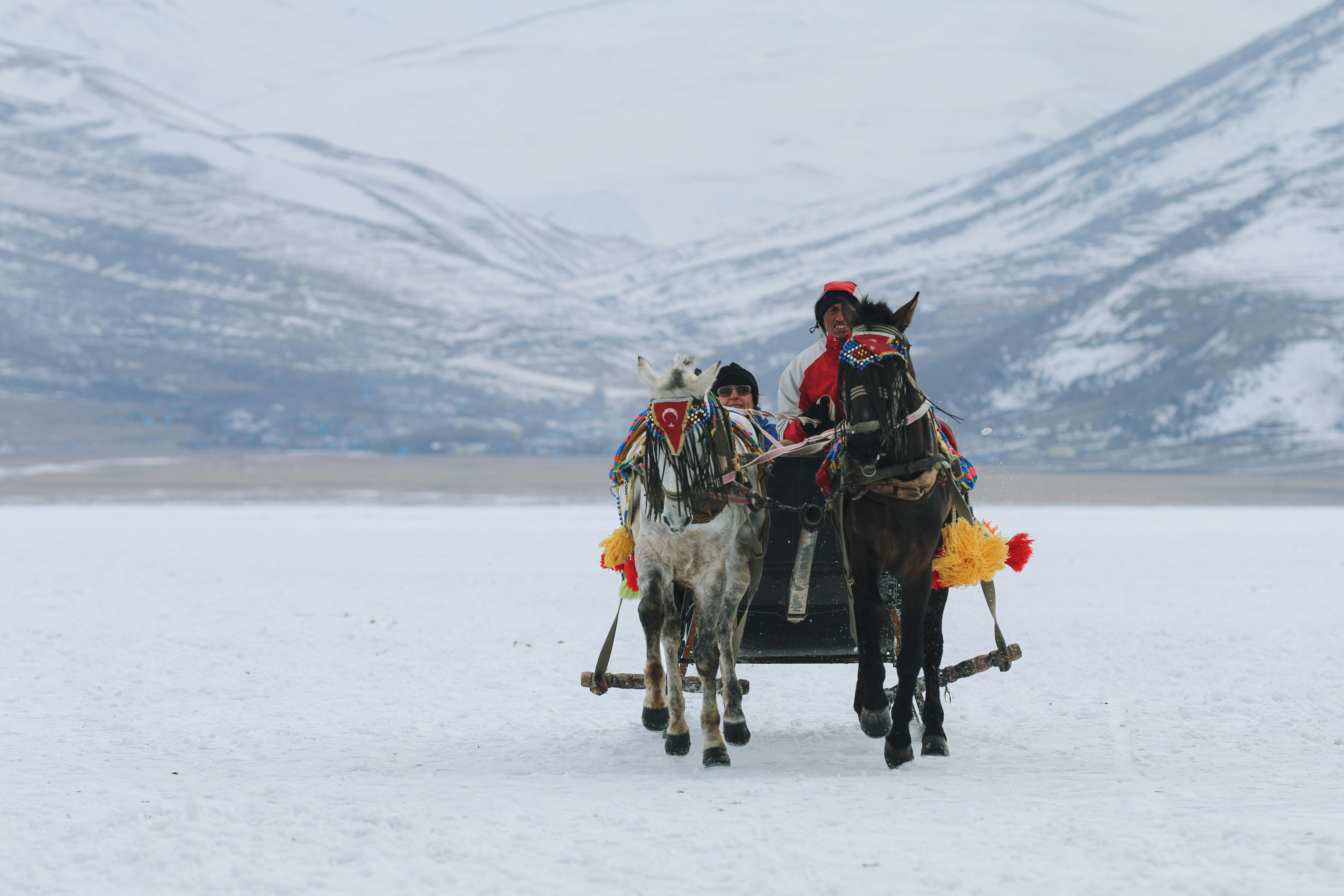 Voyage au Kirghizistan - Locaux tirés par des chevaux