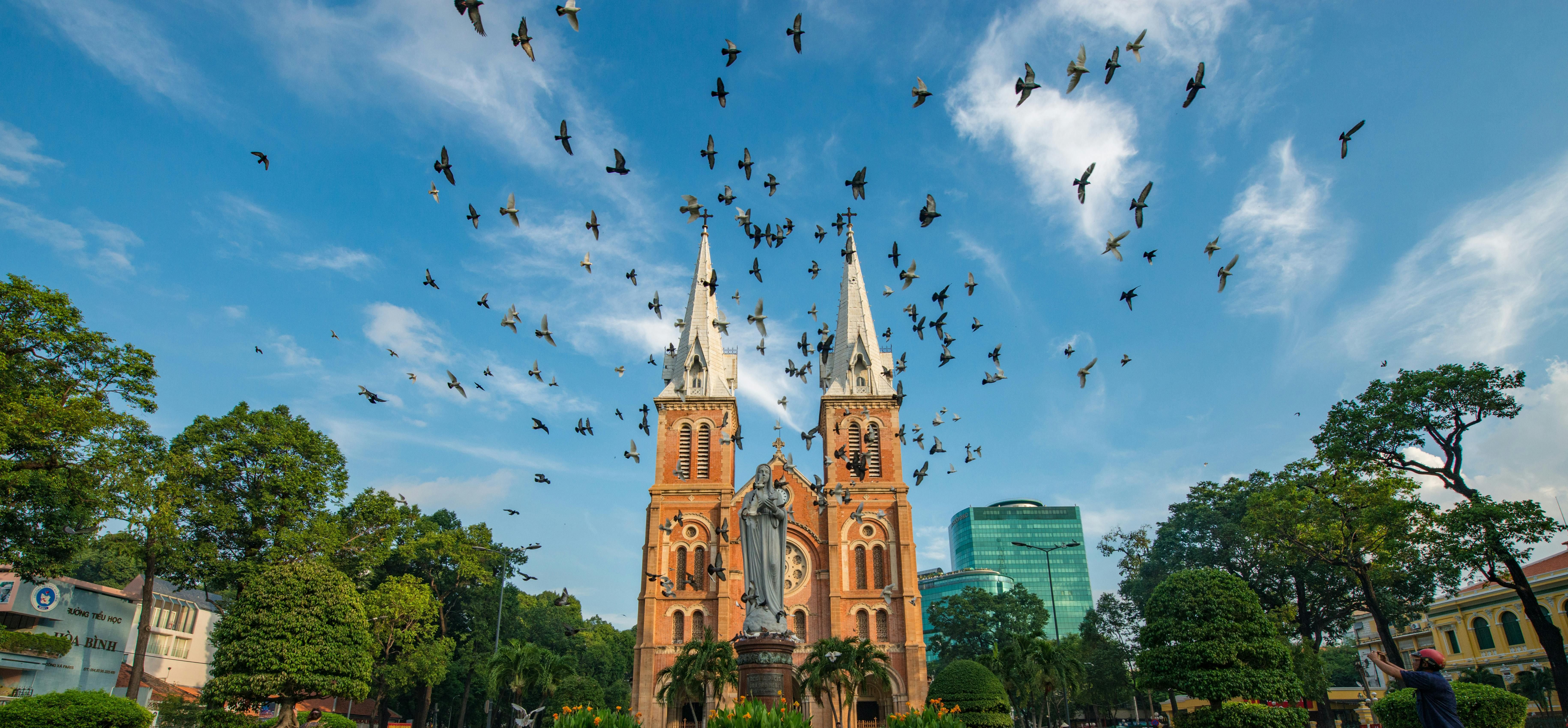 pexels-binh-ho-image-355440-1018478.jpg