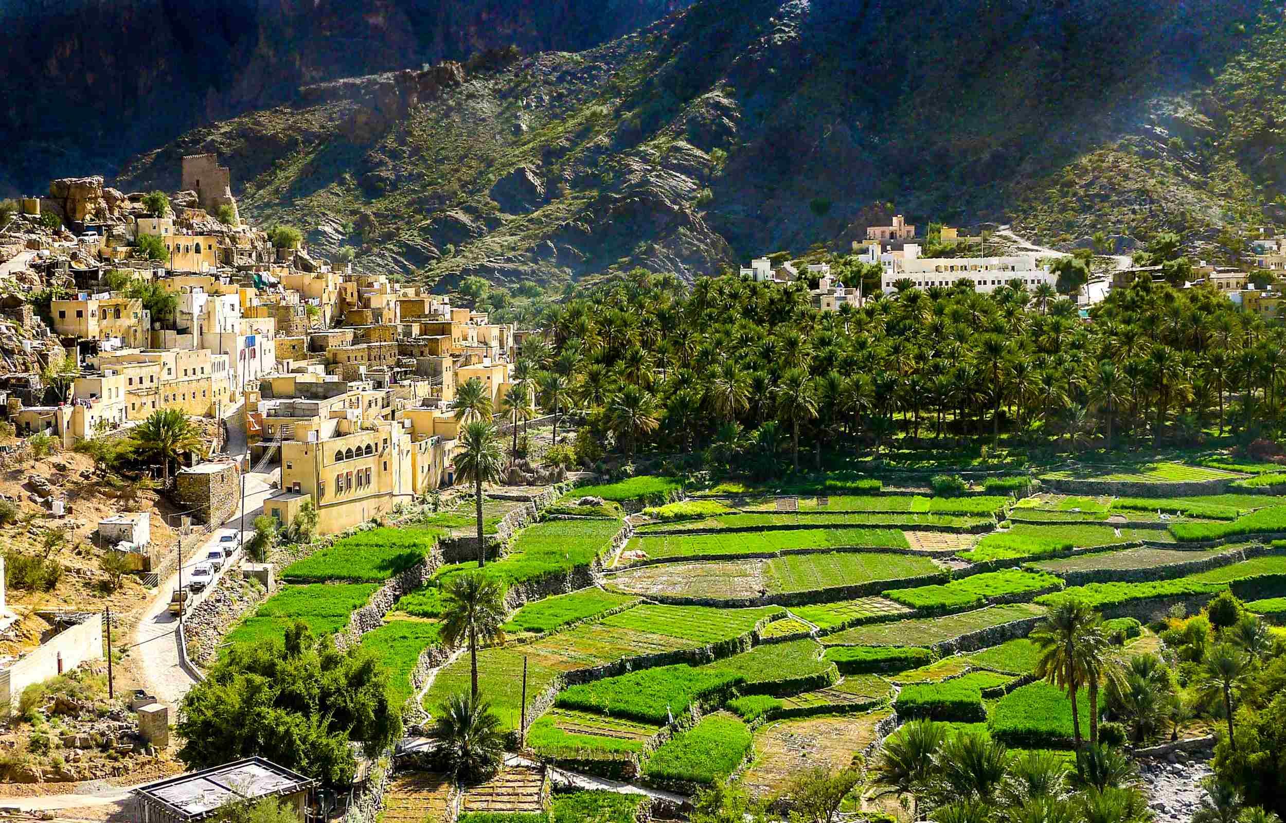 Trek - Trekking et nature en Oman