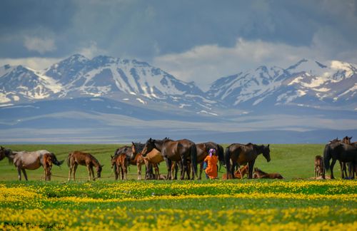 Voyage en Haute Montagne - Monts et merveilles des pays en Stan