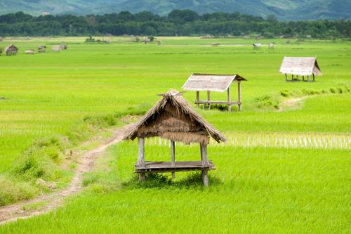 Trek - Randonnées et villages du Laos