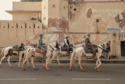 Voyage à cheval - Inde : Rajasthan, le Shekhawati à cheval