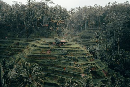 Trek - Trio d\'Indonésie : Sumatra, Java, Bali