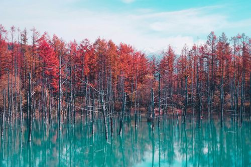 Trek - Le nord du Japon, aventure à Hokkaido