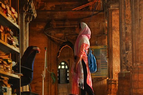 Trek - Gujarat, une autre Inde du nord