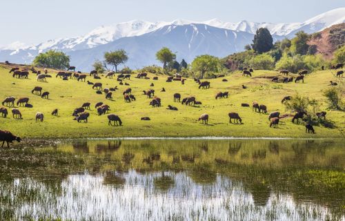 Trek immersif en Ouzbékistan