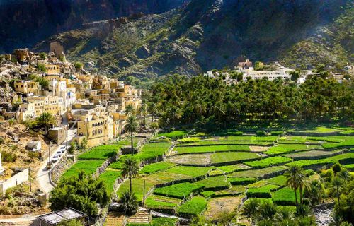 Trek - Trekking et nature en Oman