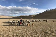trek ladakh