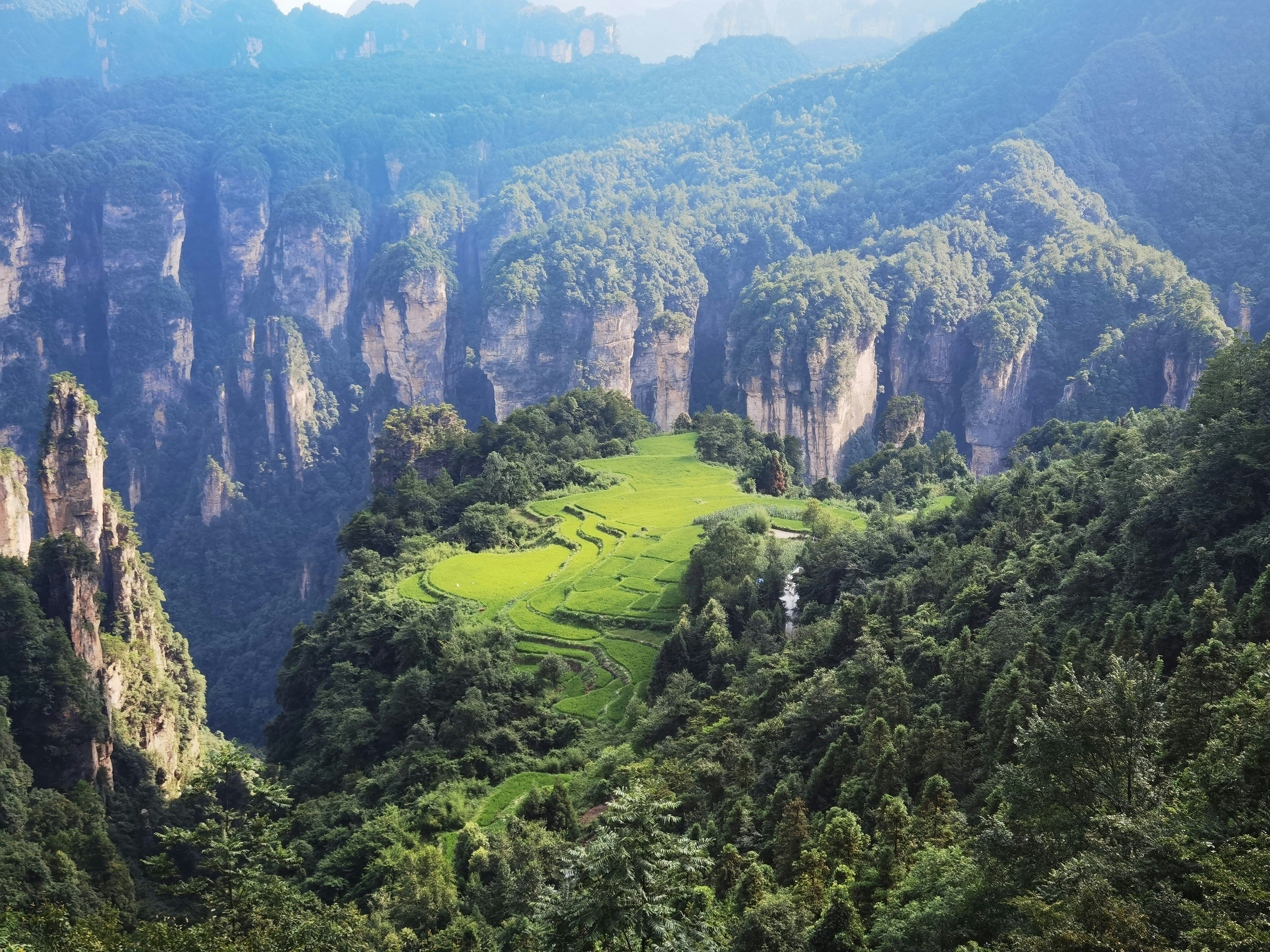 Vue aérienne sur le parc forestier de Zhangjiajie