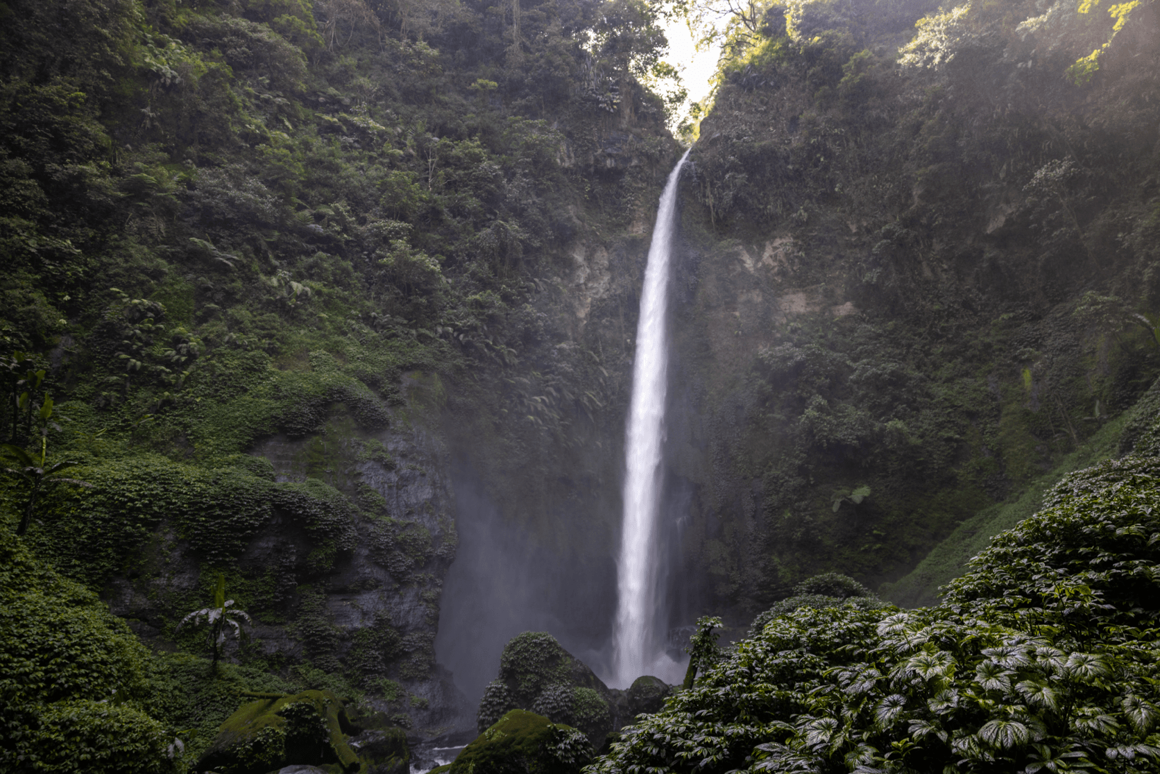 Voyage en Indonésie - Rayons de soleil traversant la brume de Coban Pelangi 