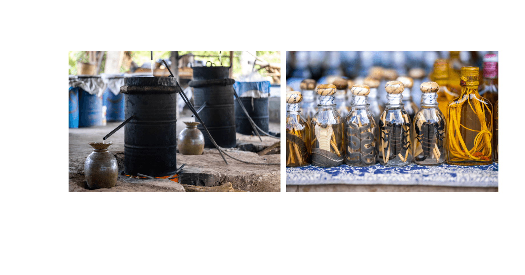 Voyage au Laos - bouteilles spectaculaires de lao lao décorées de serpents, lézards et scorpions