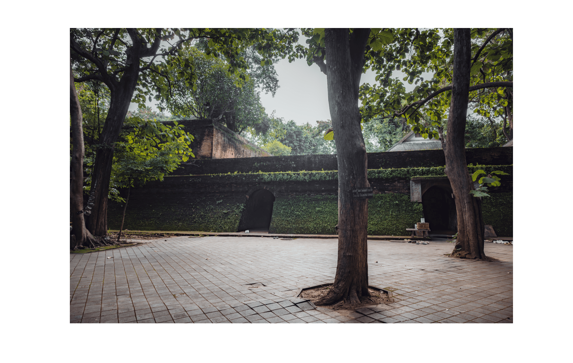 Voyage en Thaïlande - entrée voûtée des tunnels du Wat Umong dans la forêt de Chiang Mai