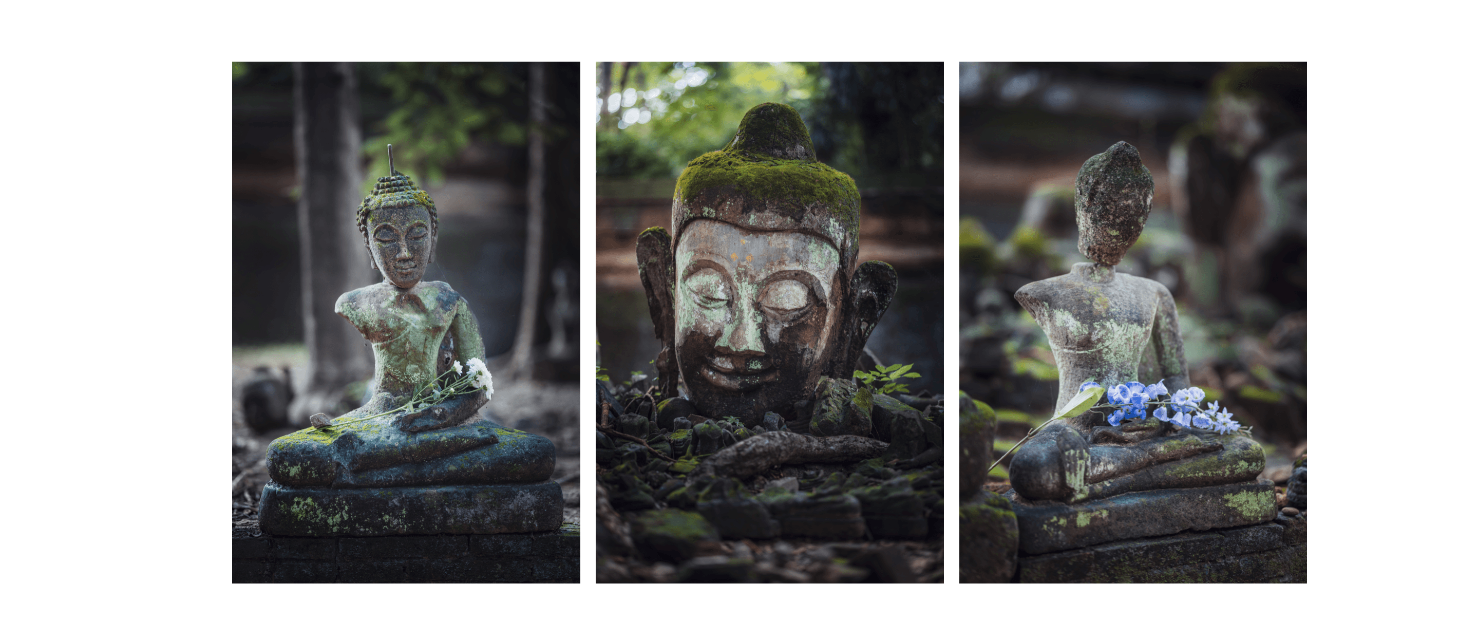 Voyage en Thaïlande - gros plan sur une tête de Bouddha en pierre et autres statues au Wat Umong de Chiang Mai