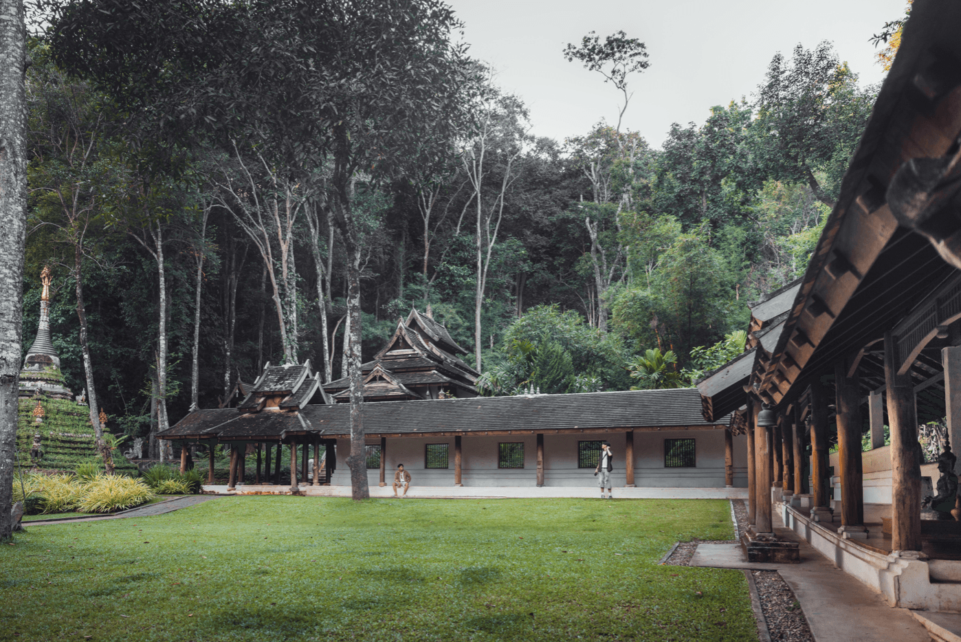 Voyage en Thaïlande - atmosphère de forêt enchantée au Wat Pha Lat où nature et sacré se confondent
