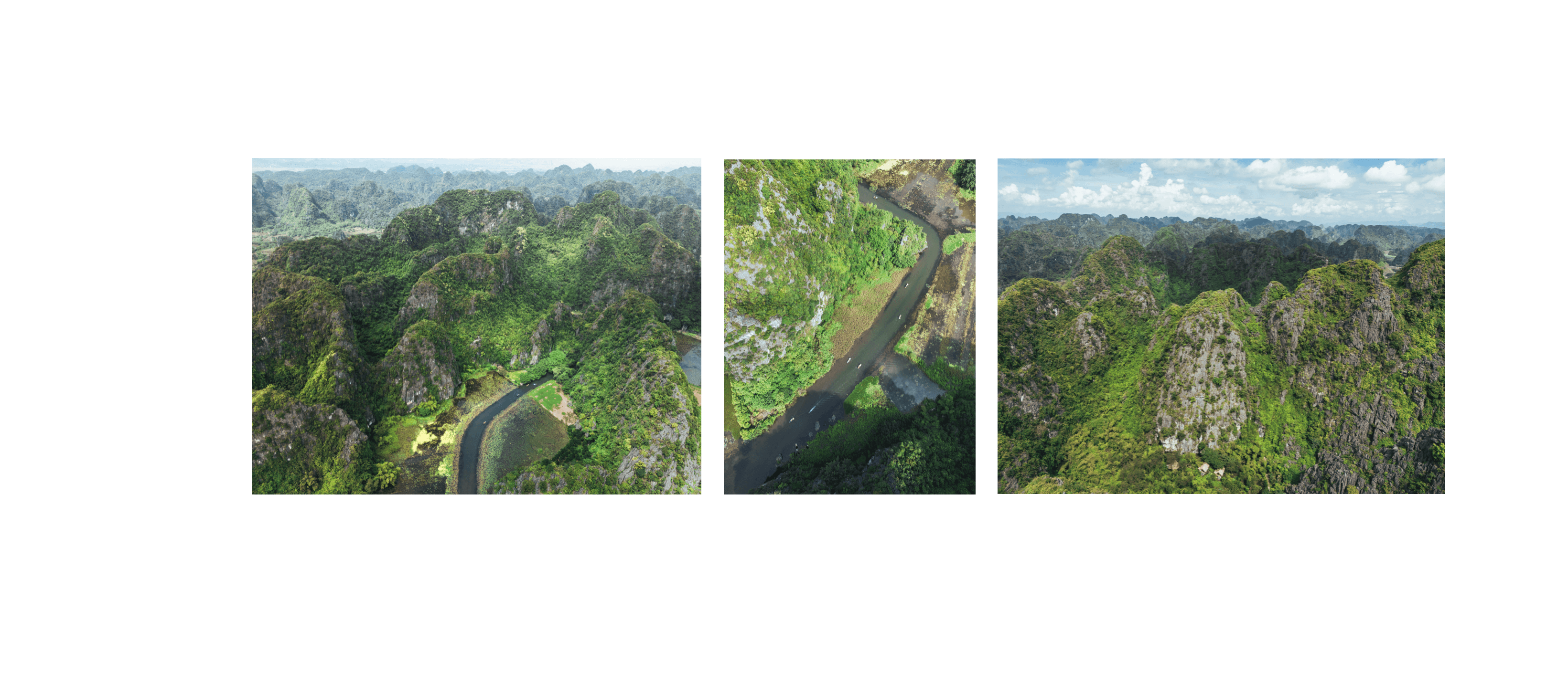 Voyage au Vietnam - rizières vert émeraude en avril-mai à Tam Coc avec jeunes plants de riz