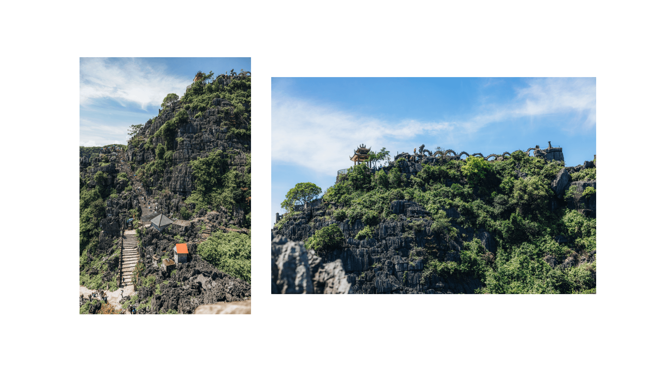Voyage au Vietnam - statue de dragon spectaculaire serpentant la crête au sommet de Hang Mua